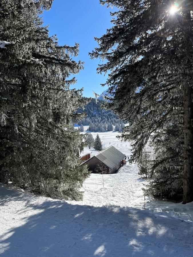 Chamrousse Appart 8 Personnes Au Pied Des Pistes Ngoại thất bức ảnh