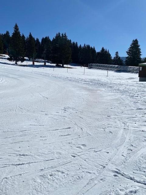 Chamrousse Appart 8 Personnes Au Pied Des Pistes Ngoại thất bức ảnh